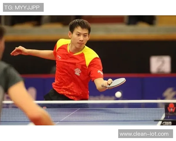 国球汇：探索乒乓球的魅力与发展，见证中国体育的辉煌与未来