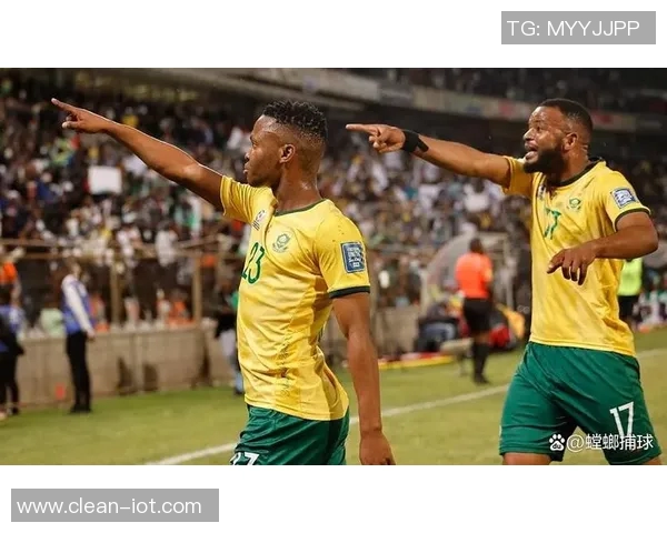 尼日利亚与南非足球阵容对比分析及战术解析 尼日利亚与南非足球阵容对比分析及战术解析