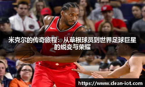 hth华体会平台
