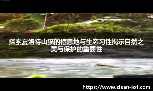 hth华体会登录